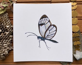 Print of Original Butterfly Watercolor Painting Artwork Nature Art Illustration Clearwing Home Decor Spring Gift