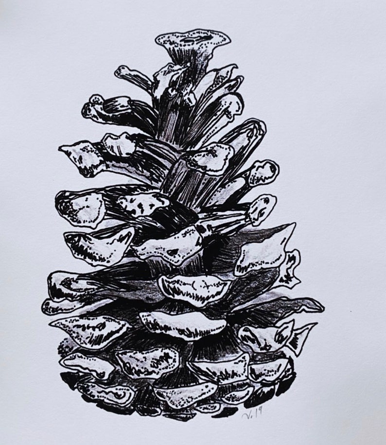 Original Art Print Tree Art Black and White Illustration Abstract Nature Adventure Awaits Wanderlust Gift Pine Cone image 3