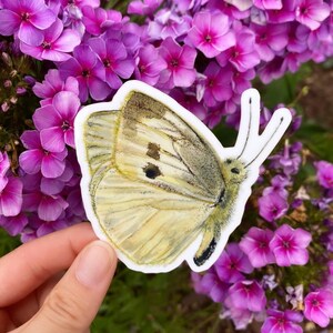 Little Yellow Butterfly Moth Waterproof Sticker Decal Whimsical Nature Animal Art Gift