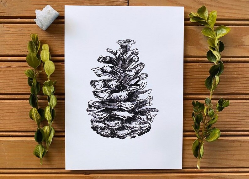 Original Art Print Tree Art Black and White Illustration Abstract Nature Adventure Awaits Wanderlust Gift Pine Cone image 1