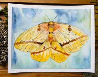 Original Fine Art Print Imperial Moth Flying Insect Yellow Gold Minimalistic Nature Butterfly Artwork Illustration MyImaginationIsYours