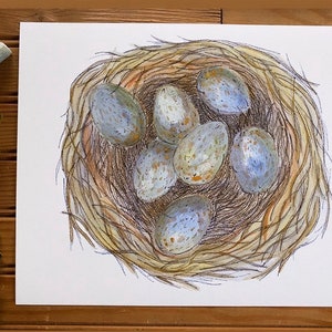 Original Fine Art Print Watercolor Illustration Bird Nest Eggs Nature Minimalistic Artwork Woodland Cottage Core Home Decor Gift