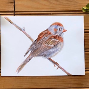 Fine Art Print Watercolor Artwork Finch Bird on Branch Woodland Forest Animals Minimalistic Modern Whimsical Illustration Home Decor Gift