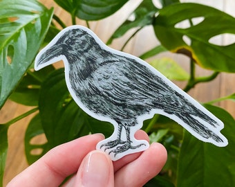 Original Crow Sticker, Bird Illustration Artwork, Waterproof