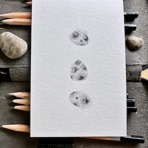Original Petoskey Stone Drawing Geological Rock Pencil Charcoal Black and White Wall Art Home Decor Small Gift 4x6 OOAK Michigan  Art