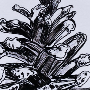 Original Art Print Tree Art Black and White Illustration Abstract Nature Adventure Awaits Wanderlust Gift Pine Cone image 6