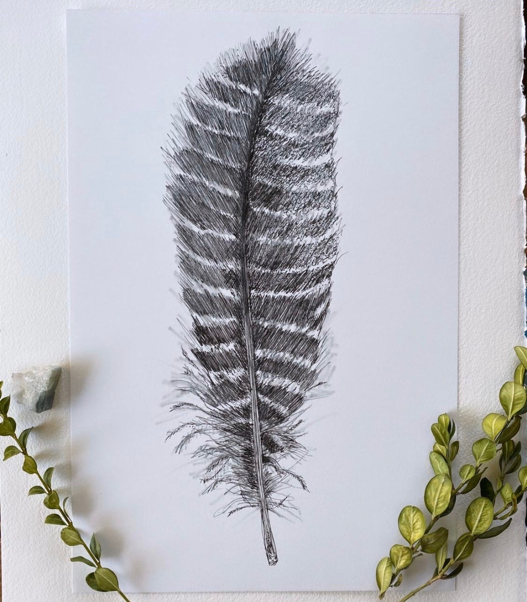 Feather Illustration Print, Black and White Bird Art, Minimalist Home ...