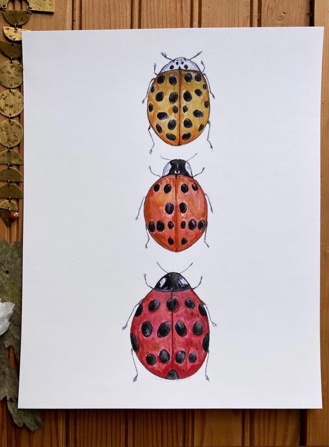 Ladybug Art Print: Original Watercolor Insect Painting, Whimsical ...