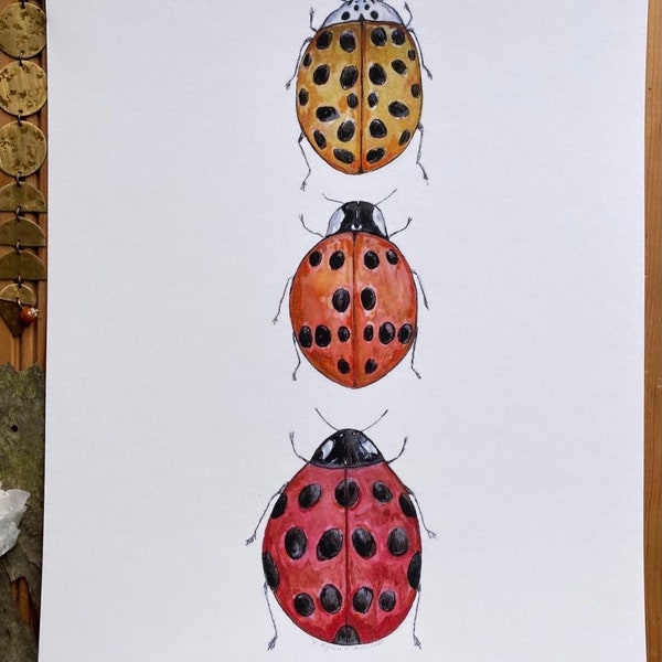 Ladybugs Lady Bug Red Orange Yellow Art Print Original Artwork Watercolor Painting Flying Insect Home Decor Wall Art