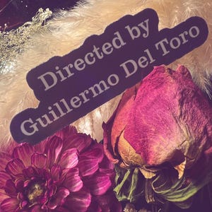 Puede incluir: Primer plano de un arreglo floral con una dalia rosa vibrante y una rosa seca. Una pegatina negra con el texto "Directed by Guillermo Del Toro" se coloca sobre las flores, con un fondo de plumas esponjosas de color crema.