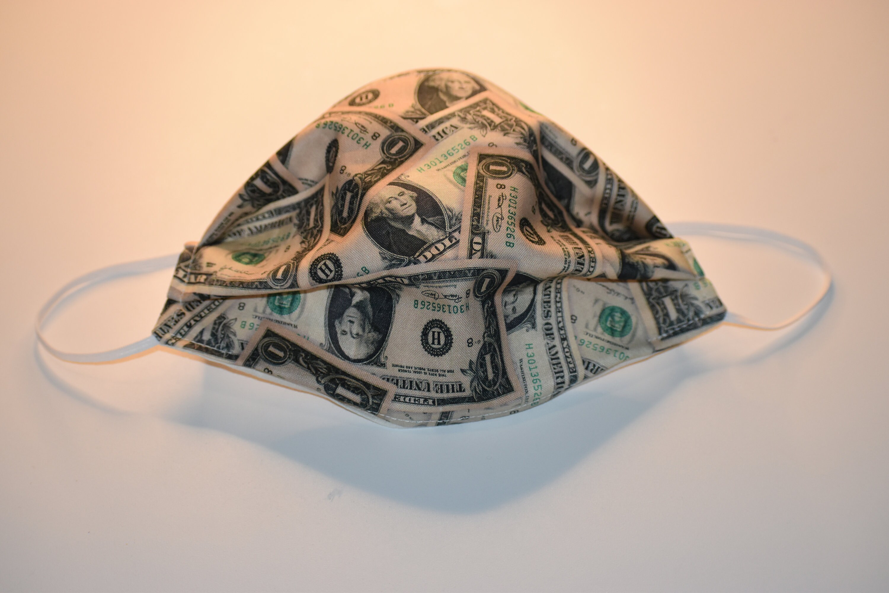 Dollar Bill Face Mask one size fits MOST with filter pocket on Etsy