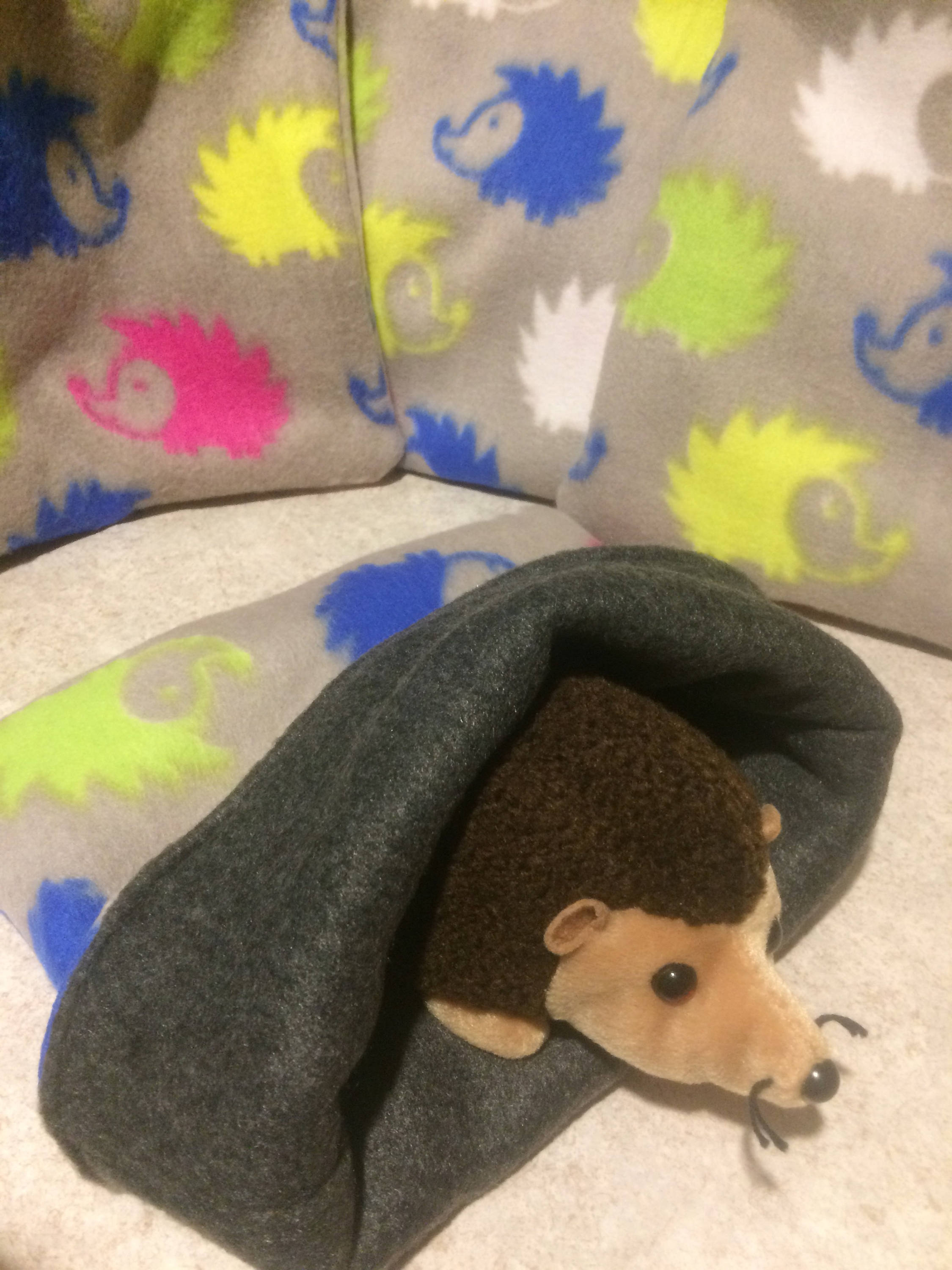 Rainbow hedgehog snuggle sack for hedgehogs rats guinea Etsy