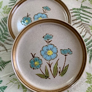 Vintage Salad Plates, Set of 2, Country Manor, Turquoise Flowers, 1970s