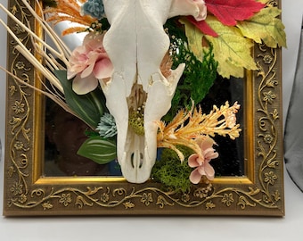 Coyote skull mirror plaque
