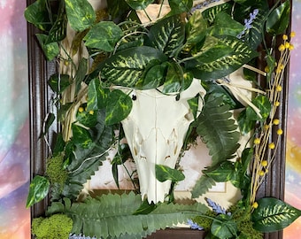White Tailed Deer Skull Framed