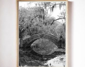 New Orleans photography | New Orleans City Park | New Orleans Print | Louisiana landscape | Large Wall Art | Spanish Moss | New Orleans art