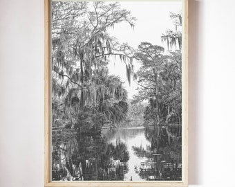 New Orleans photography | Black and White New Orleans Photography | City Park New Orleans | Large Wall Art | Louisiana Bayou Landscape