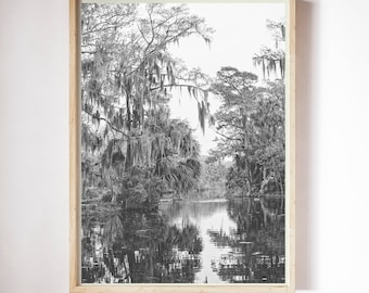 New Orleans photography | Black and White New Orleans Photography | City Park New Orleans | Large Wall Art | Louisiana Bayou Landscape