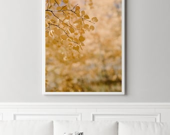 Aspen Photography, Colorado Cabin Decor, Rustic Mountain Wall Art, Aspen trees art, Aspen wall art, Golden Aspen Leaves, large wall art