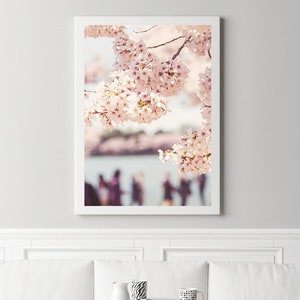 washington dc cherry blossoms print, dc cherry blossom festival art, cherry blossoms photography, DC Tidal Basin print, DC wall art