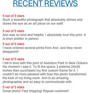 Op de afbeelding: Afbeelding met klantbeoordelingen, allemaal met 5-sterrenbeoordeling. De tekst "Recent Reviews" is blauw. De beoordelingen prijzen de schoonheid van de foto, de behulpzaamheid van de verkoper en de kwaliteit van de afdruk. E&eacute;n beoordeling vermeldt een afdruk van 61x91 cm.