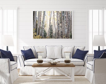 Colorado Landscape Prints, Aspen tree photography, Birch tree wall art, mountain cabin decor, winter forest wall art, horizontal aspen art