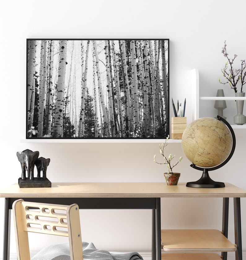 Aspen Wall Art Black and White Cabin Wall Art Colorado Aspen Etsy