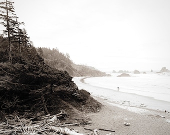 May include: A black and white photograph of a beach with a rocky coastline and a couple walking along the shore. The beach is covered in driftwood and the sky is overcast.