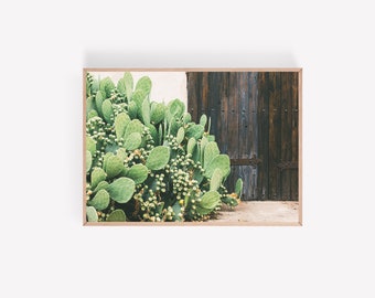 West Texas Photography, Cactus photography print, Southwestern rustic decor, southwestern door print, texas photography