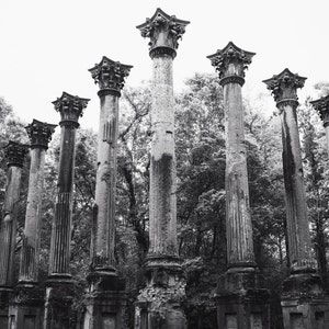 May include: A black and white photo of six tall, weathered stone columns with ornate tops, standing in a forest setting.