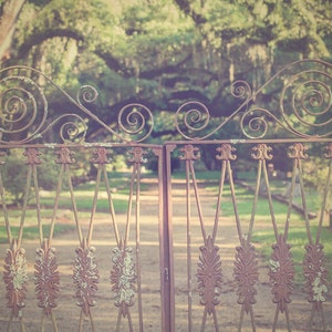 May include: A rusty metal gate with intricate scrollwork details, set against a blurred background of lush green trees. The gate is made of two sections, each with a decorative top and vertical bars.