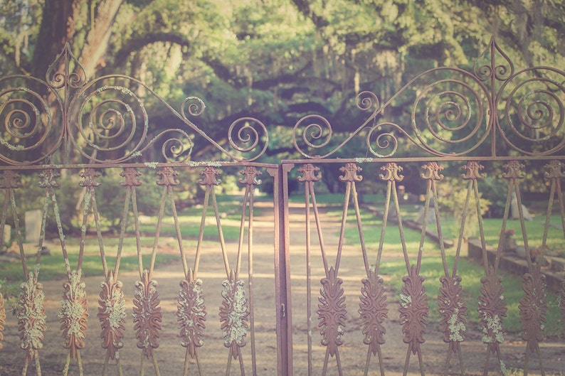 May include: A rusty metal gate with intricate scrollwork details, set against a blurred background of lush green trees. The gate is made of two sections, each with a decorative top and vertical bars.