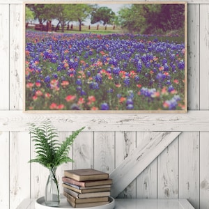 texas bluebonnets, texas photography, texas landscape, texas decor, rustic decor, large wall art, farmhouse decor, bluebonnet wall art