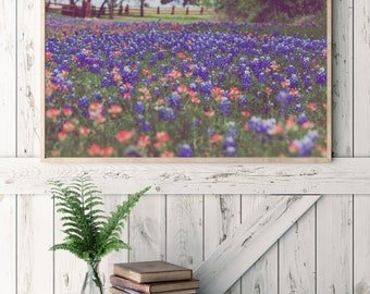 texas bluebonnets, texas photography, texas landscape, texas decor, rustic decor, large wall art, farmhouse decor, bluebonnet wall art