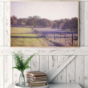 texas photography, texas bluebonnets, texas landscape, bluebonnets in the hillcountry, large wall art, purple floral wall art, rustic art