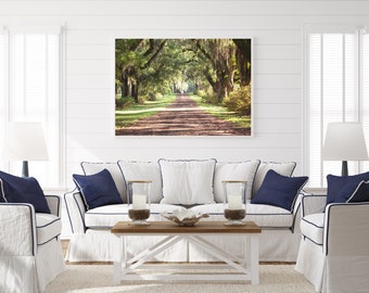 Louisiana photography, saint francisville, live oaks, louisiana decor, southern home decor, large wall art louisiana landscape  spanish moss