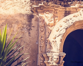 May include: A close-up of a stone archway with intricate carvings. The archway is part of an old building with a textured wall. A green plant is visible in the foreground.