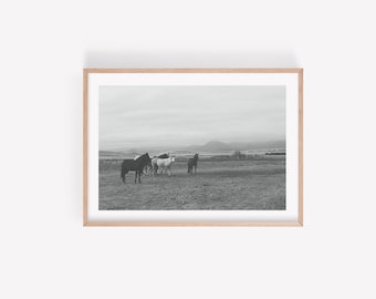 Montana Wall Art, Montana Photography, Crazy Mountains Montana, Montana Mountains Art, Mountain Landscape Print, black and white horse print