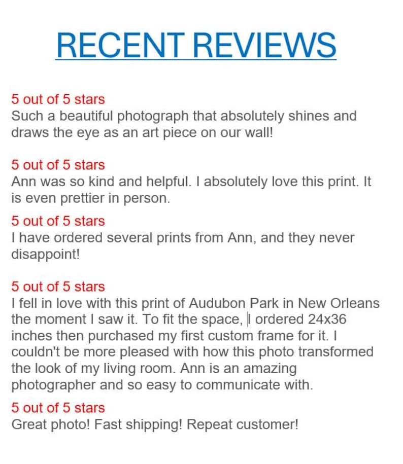 May include: Five customer reviews for a photography service. Each review is 5 out of 5 stars and includes a positive comment about the photographer's work and customer service.