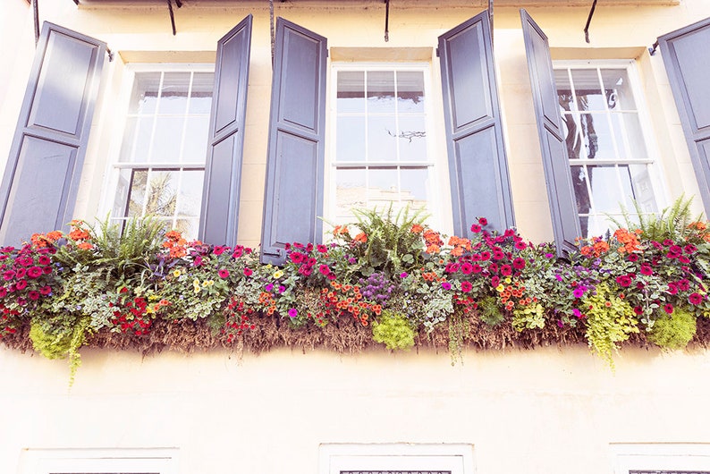 Charleston South Carolina Photography, Charleston Window Boxes print, Charleston Wall Art, Lowcountry Wall Art, Southern Home Decor image 1