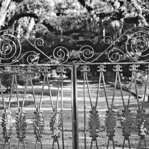 May include: A black wrought iron gate with intricate scrollwork and decorative accents. The gate is open and reveals a view of a grassy area with trees in the background.