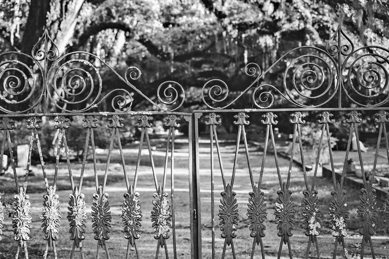 May include: A black wrought iron gate with intricate scrollwork and decorative accents. The gate is open and reveals a view of a grassy area with trees in the background.