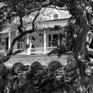 Charleston Photography, Charleston Battery Wall Art, Charleston South Carolina Architecture, Charleston black and white print lowcountry art