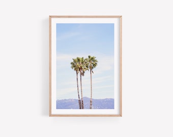 Santa Barbara Photography Print, California Palm Trees Wall Art, Santa Barbara Wall Art,