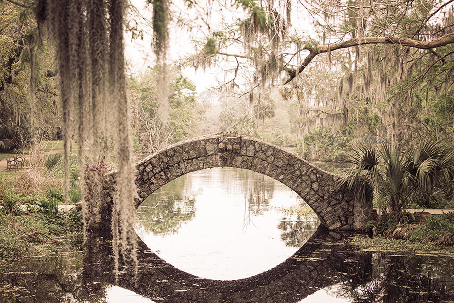 New Orleans photography | New Orleans City Park | New Orleans Print | Louisiana landscape | Large Wall Art | Spanish Moss | New Orleans art - 20x30 inches