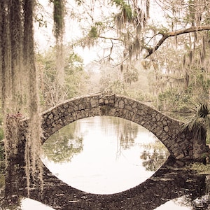 New Orleans photography | New Orleans City Park | New Orleans Print | Louisiana landscape | Large Wall Art | Spanish Moss | New Orleans art