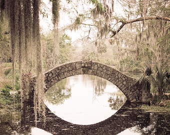 New Orleans photography | New Orleans City Park | New Orleans Print | Louisiana landscape | Large Wall Art | Spanish Moss | New Orleans art