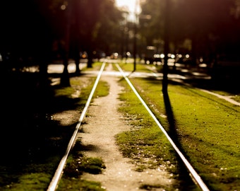 New Orleans Photography | New Orleans Streetcar | New Orleans Print | Garden District of New Orleans | Large Wall Art