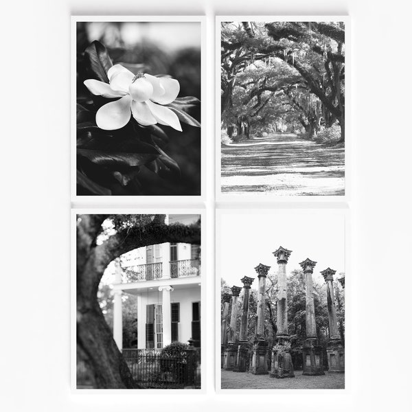 SALE Southern Landscape Art, Mississippi Photography, Louisiana Photography Print, Southern Gothic Art, southern print set, magnolia art