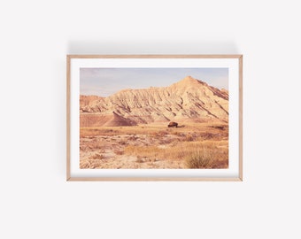 Badlands National Park Photography Print, Badlands South Dakota, Bison Wall Art, South Dakota Landscape Print, Large Landscape Wall Art